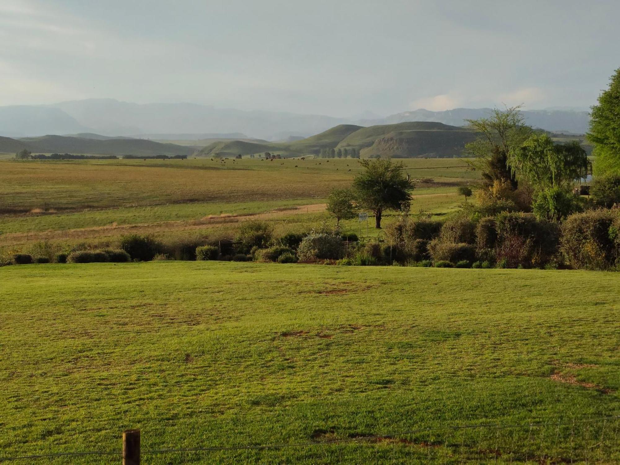 Sani Pass View Cottage 海姆维尔 外观 照片