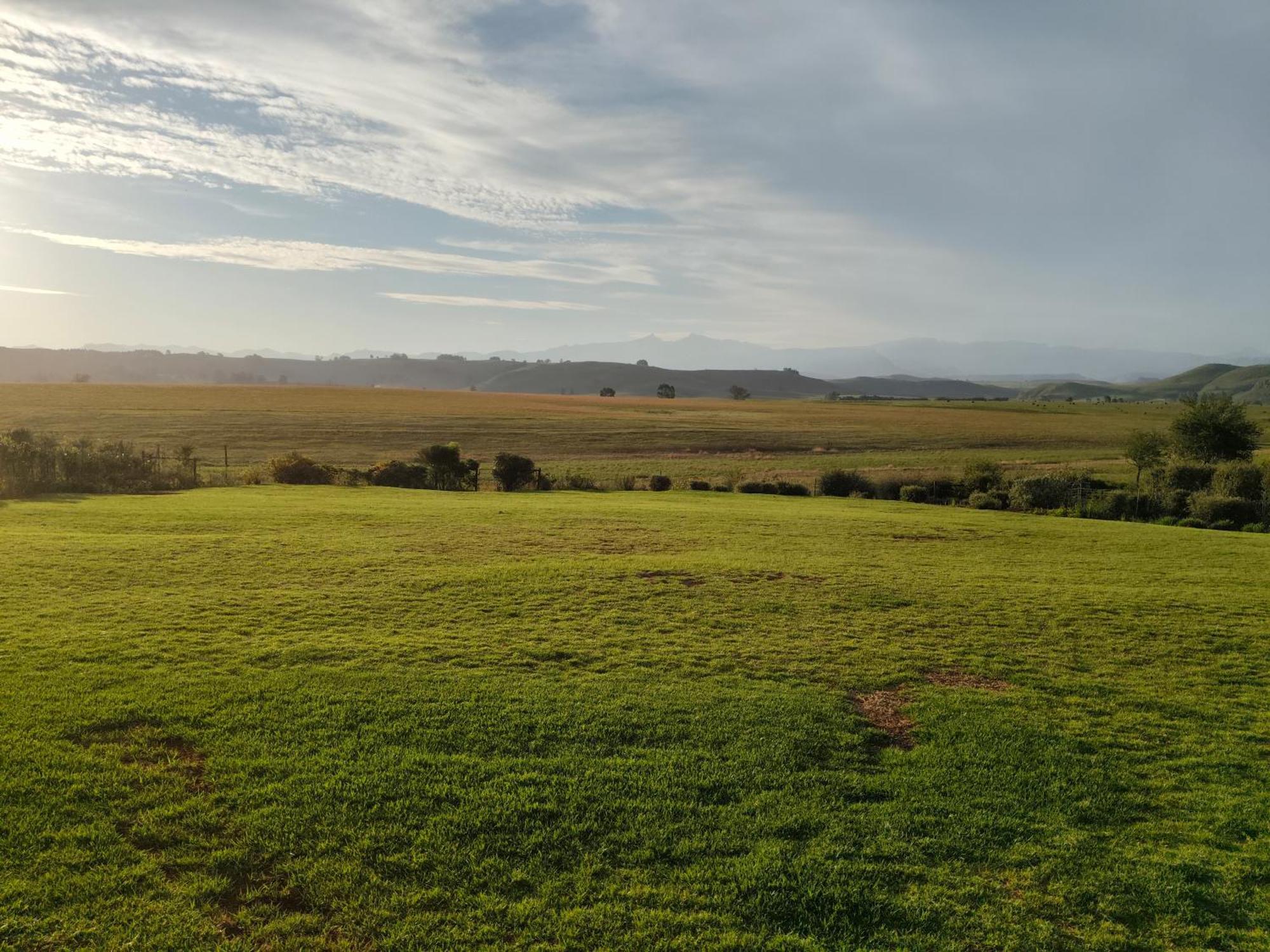 Sani Pass View Cottage 海姆维尔 外观 照片