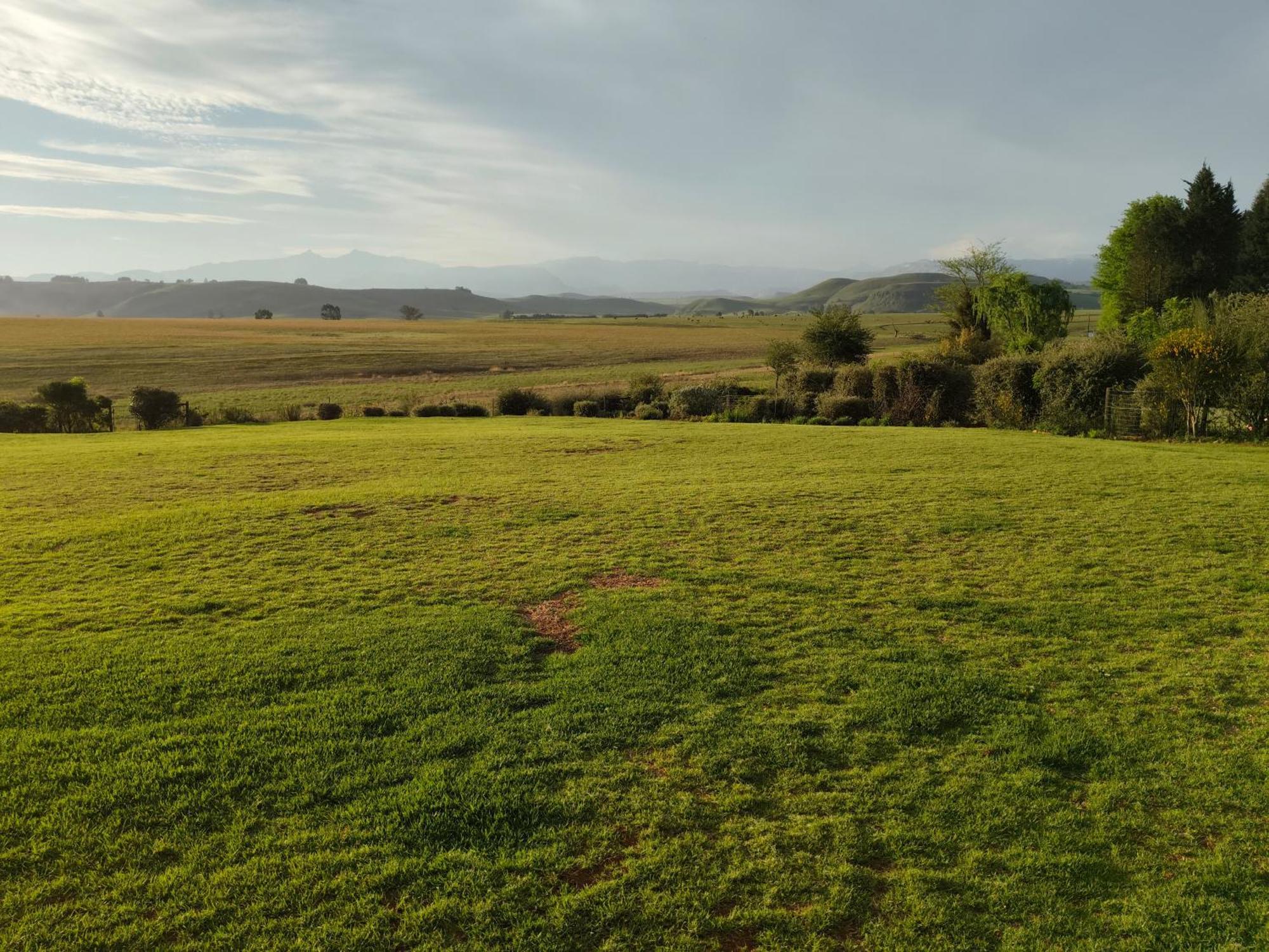 Sani Pass View Cottage 海姆维尔 外观 照片